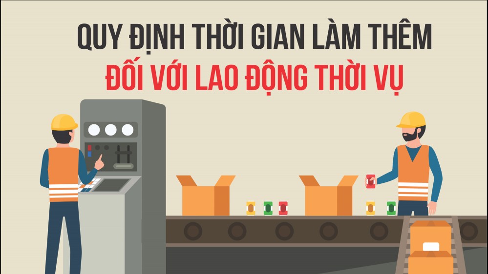 Infographic: Quy định thời gian làm thêm đối với lao động thời vụ