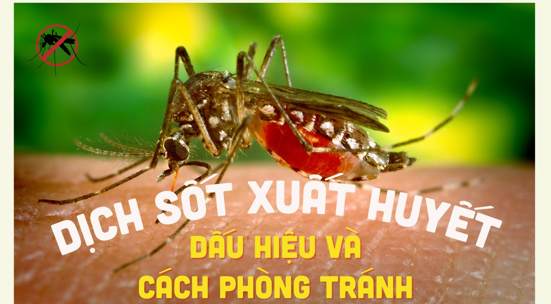 [Infographics] Dịch sốt xuất huyết, dấu hiệu và cách phòng tránh