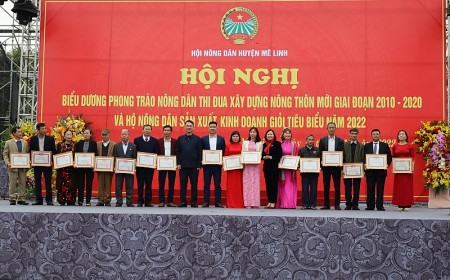 Huyện Mê Linh biểu dương 119 hộ nông dân sản xuất, kinh doanh giỏi tiêu biểu năm 2022