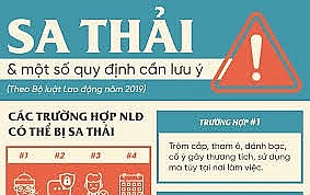 Hình thức xử lý kỷ luật sa thải người lao động được áp dụng trong trường hợp nào?