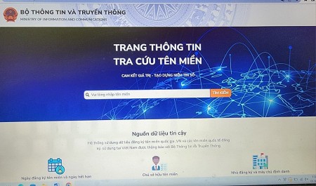 Tra cứu thông tin tên miền qua đầu số 156