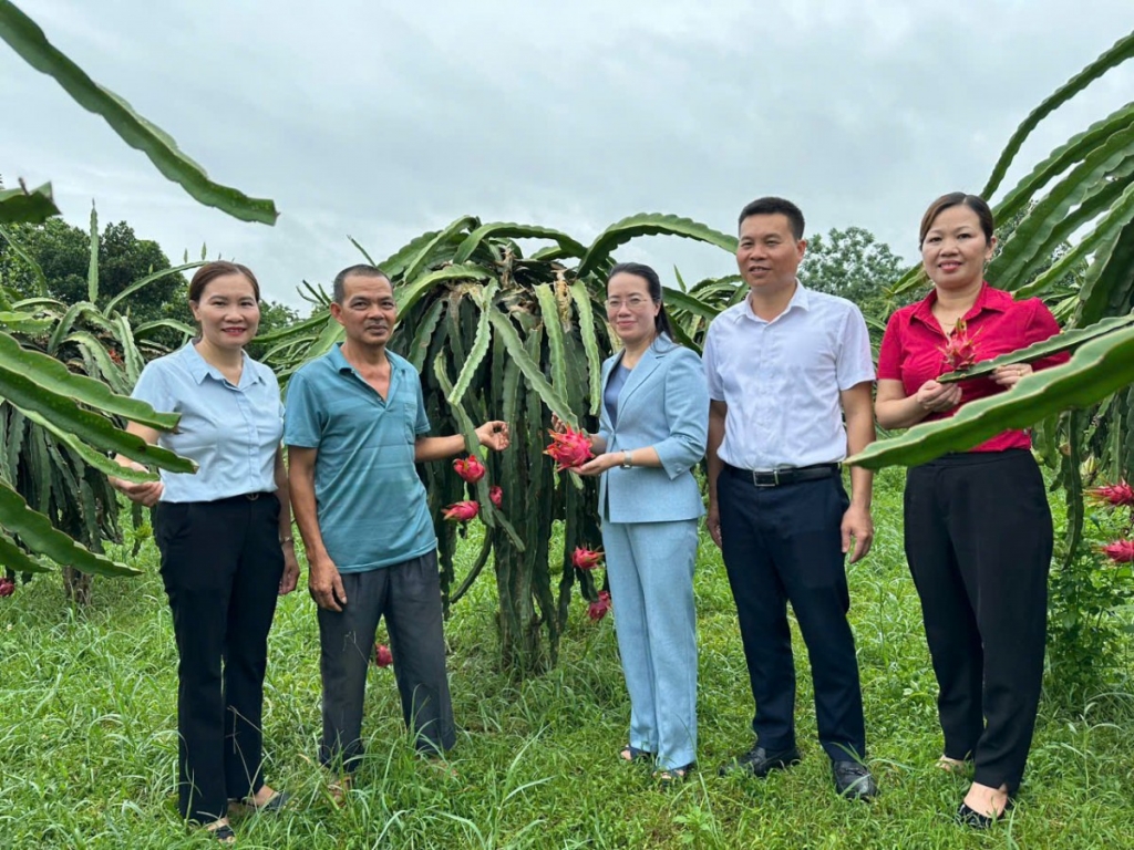 Sản phẩm OCOP thúc đẩy phát triển kinh tế nông thôn