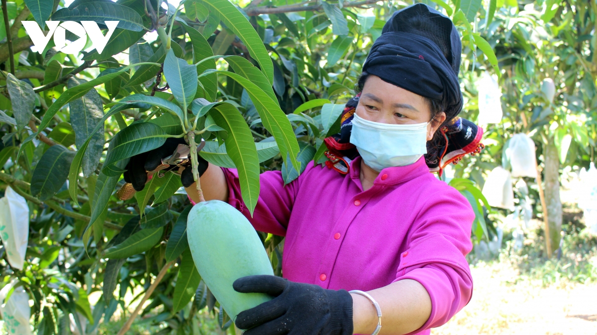 cham thay doi tu duy, nong san se kho kiem thi truong xuat khau hinh anh 2