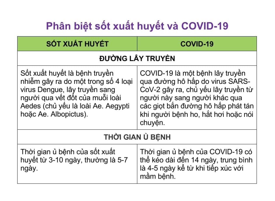 Phân biệt bệnh sốt xuất huyết và Covid-19 - Ảnh 2