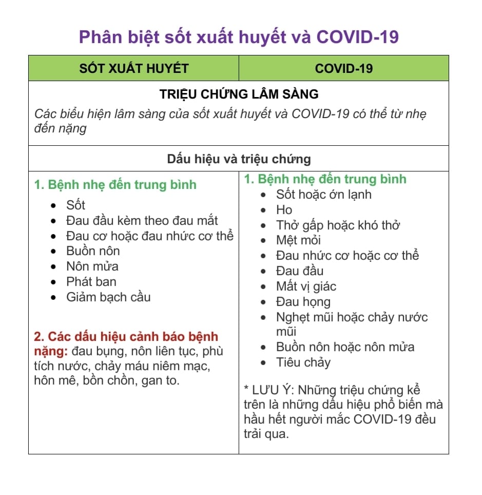 Phân biệt bệnh sốt xuất huyết và Covid-19 - Ảnh 3