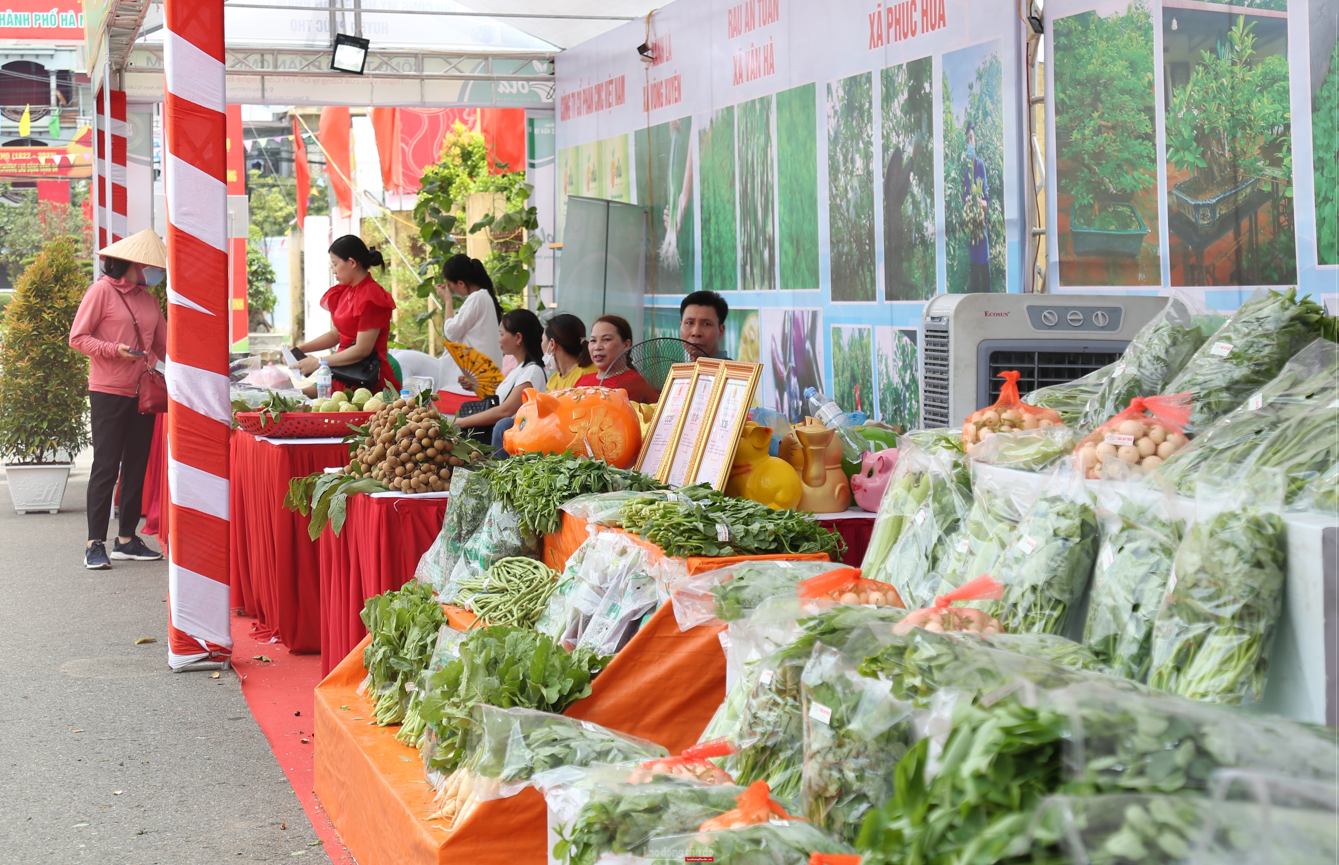 Chú trọng quảng bá, tiêu thụ sản phẩm OCOP